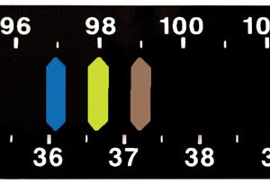 Spiras Temperature Strip