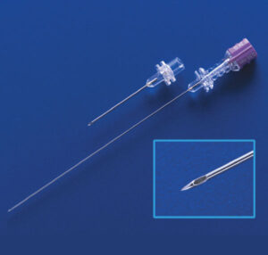 Sprotte Needle with Introducer Needle
